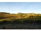 Bingfield Greenhills Road, Meadows SA 5201
