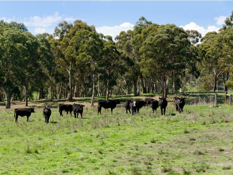 Lot 8 Heysen Road, Hahndorf SA 5245