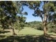 Lot 8 Heysen Road, Hahndorf SA 5245