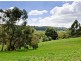 Lot 1 Hollidays Road, Summertown SA 5141