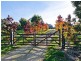 187 Military Road, Woodside SA 5244