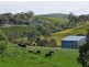 30 Adelaide-Lobethal Road, Lobethal SA 5241