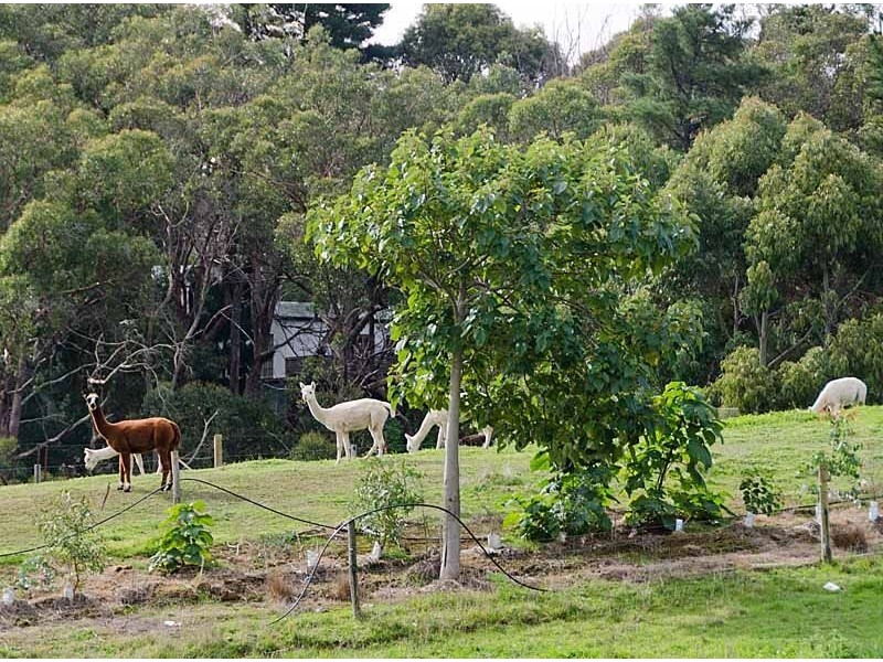 30 Adelaide-Lobethal Road, Lobethal SA 5241