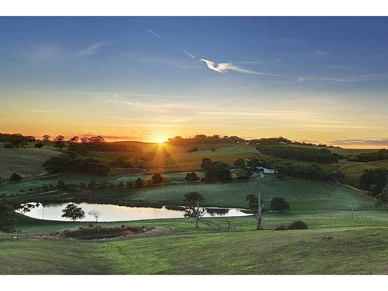 Bingfield, Greenhills Road, Meadows SA 5201
