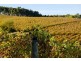 Bingfield, Greenhills Road, Meadows SA 5201