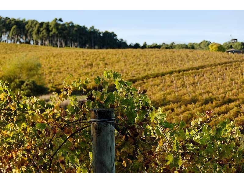 Bingfield, Greenhills Road, Meadows SA 5201