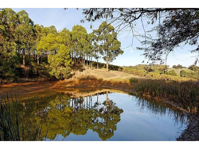 Bingfield, Greenhills Road, Meadows SA 5201