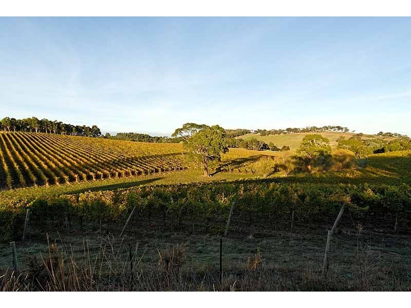 Bingfield, Greenhills Road, Meadows SA 5201