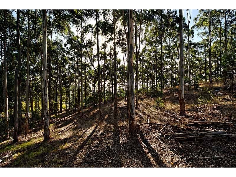 Bingfield, Greenhills Road, Meadows SA 5201
