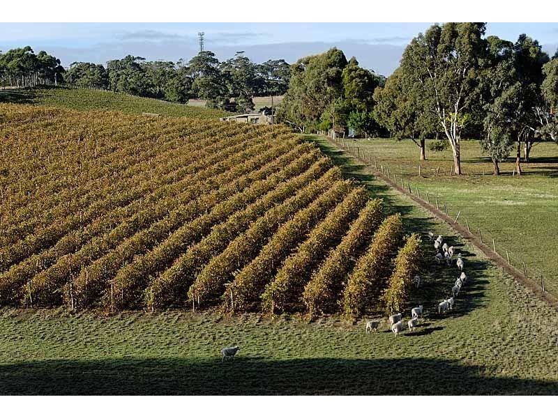 Bingfield, Greenhills Road, Meadows SA 5201