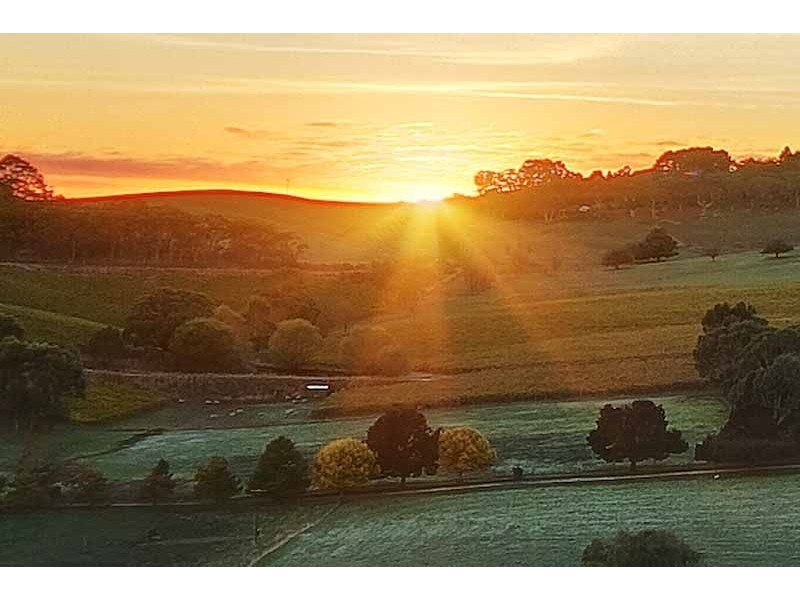 Bingfield, Greenhills Road, Meadows SA 5201