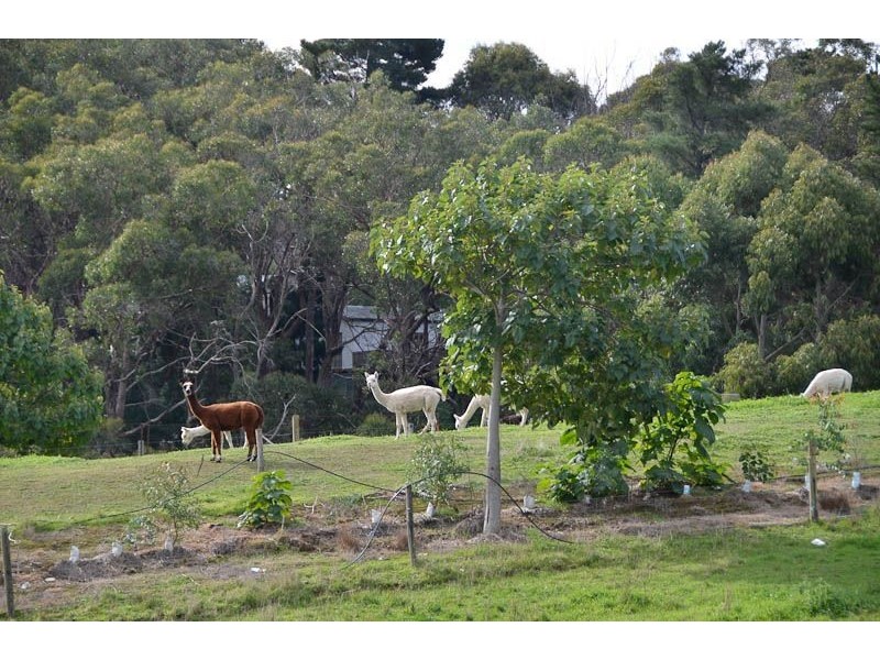 30 Adelaide – Lobethal Road, Lobethal SA 5241