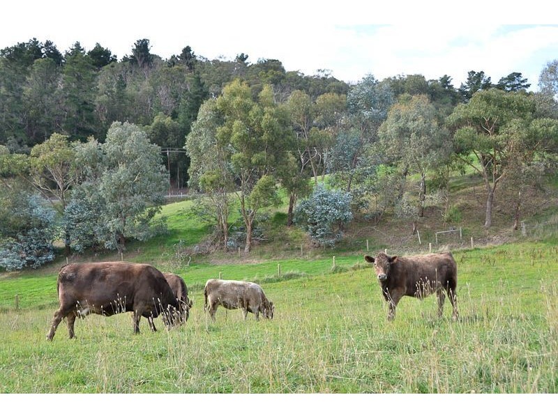 30 Adelaide – Lobethal Road, Lobethal SA 5241