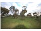 214A Mannum Road, Murray Bridge SA 5253