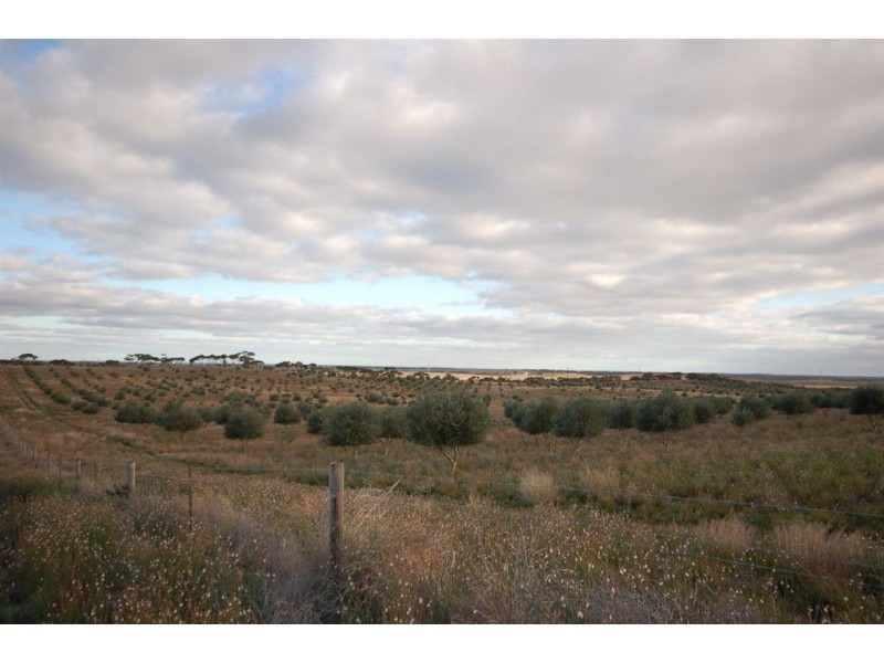 Sec 220 Boundary Road, Tailem Bend SA 5260