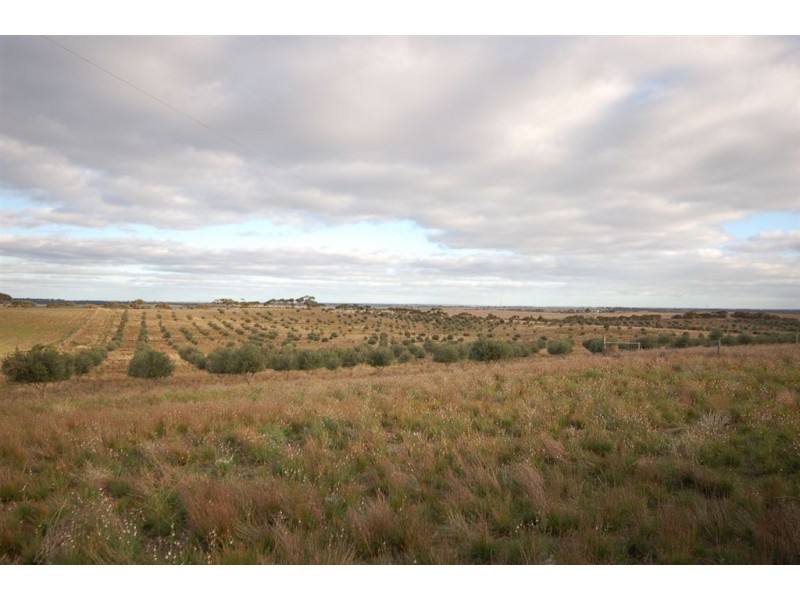 Sec 220 Boundary Road, Tailem Bend SA 5260