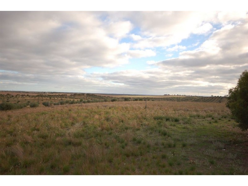 Sec 220 Boundary Road, Tailem Bend SA 5260