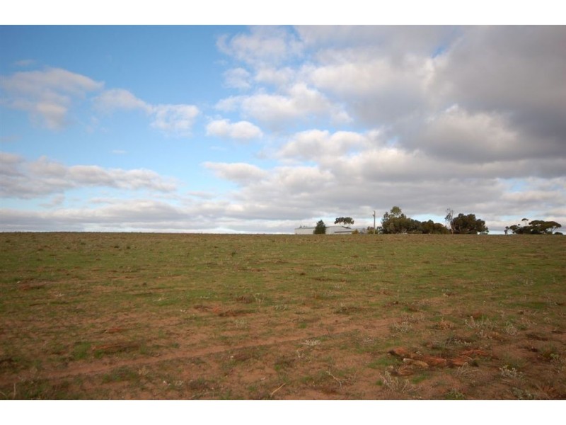 Sec 221 Boundary Road, Tailem Bend SA 5260