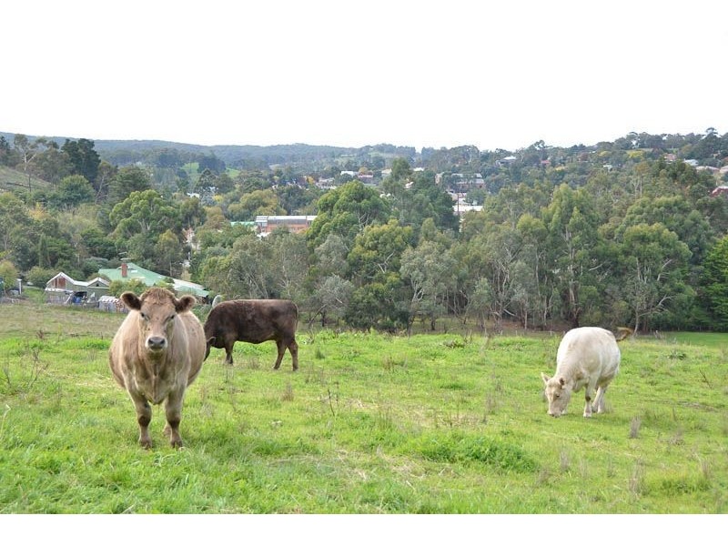 30 Adelaide-Lobethal Road, Lobethal SA 5241