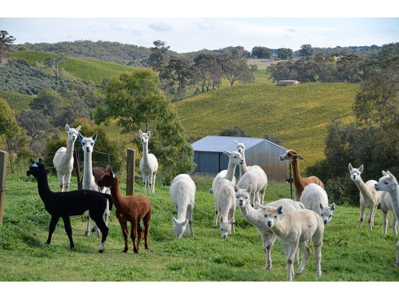 30 Adelaide-Lobethal Road, Lobethal SA 5241