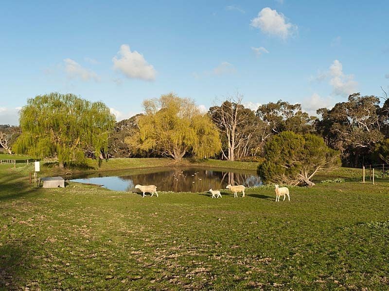 125 Shepherd Road, Echunga SA 5153