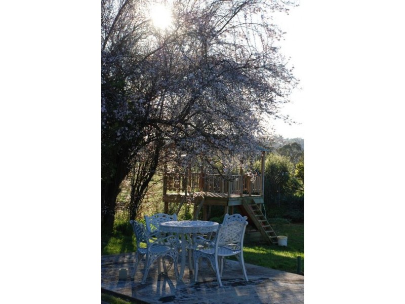 125 Shepherd Road, Echunga SA 5153