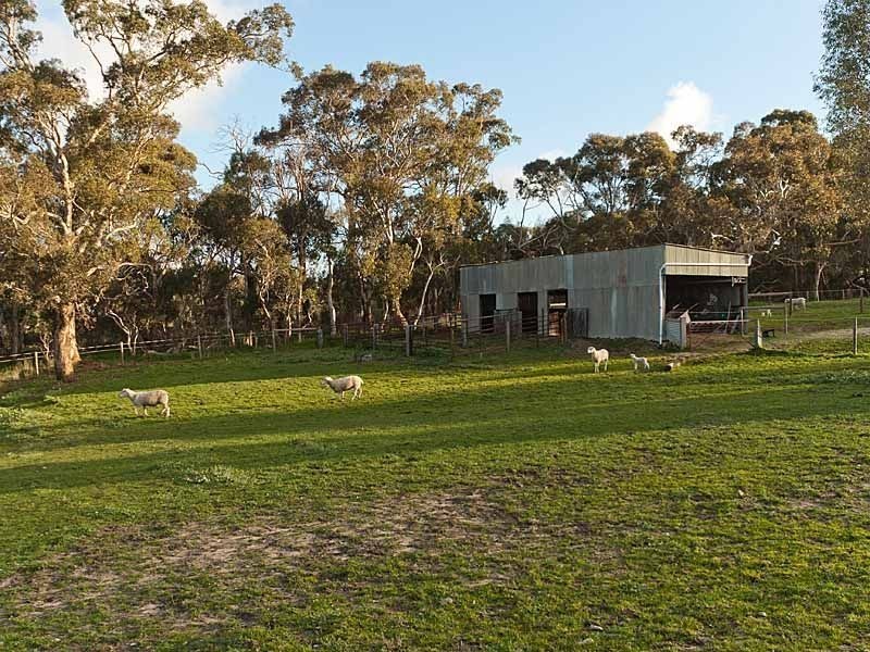 125 Shepherd Road, Echunga SA 5153