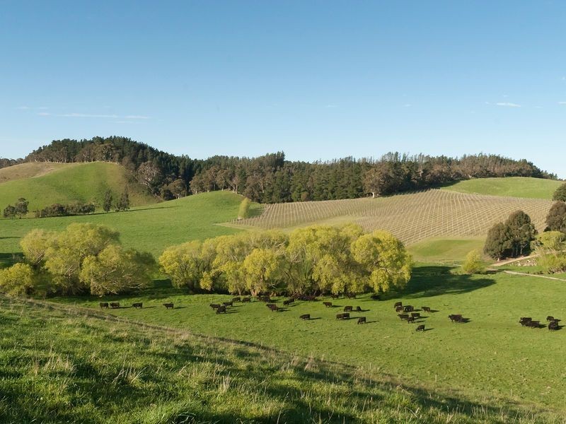 362 Oakwood Road, Oakbank SA 5243