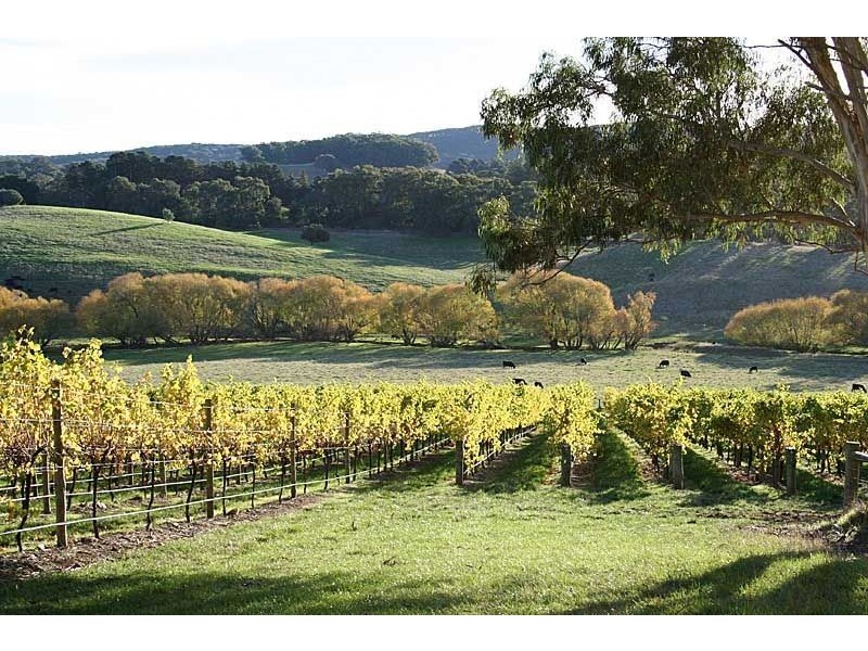 362 Oakwood Road, Oakbank SA 5243