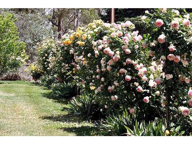 362 Oakwood Road, Oakbank SA 5243