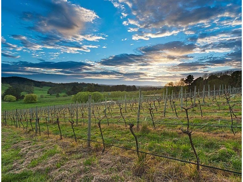 362 Oakwood Road, Oakbank SA 5243