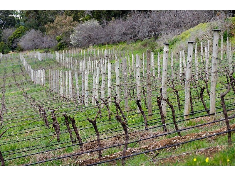 Norton Summit SA 5136