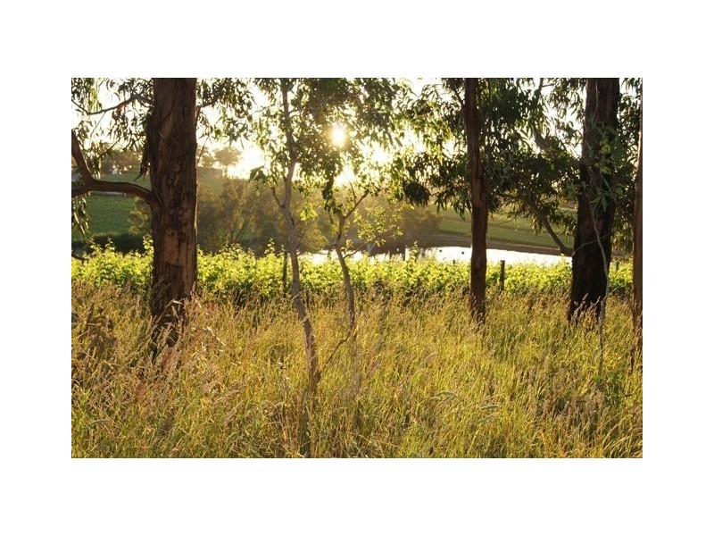 125 Wenzel Road, Oakbank SA 5243