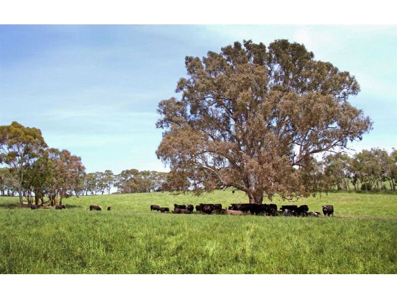 Mount Pleasant SA 5235