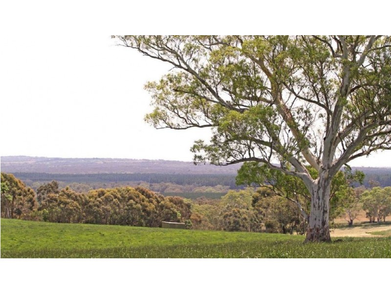 Mount Pleasant SA 5235