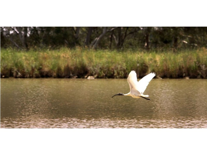 Mount Pleasant SA 5235