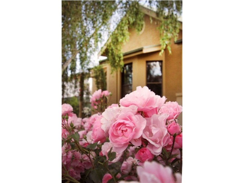 Mount Pleasant SA 5235