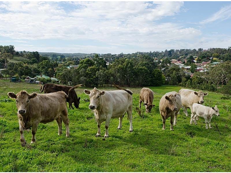 Lobethal SA 5241
