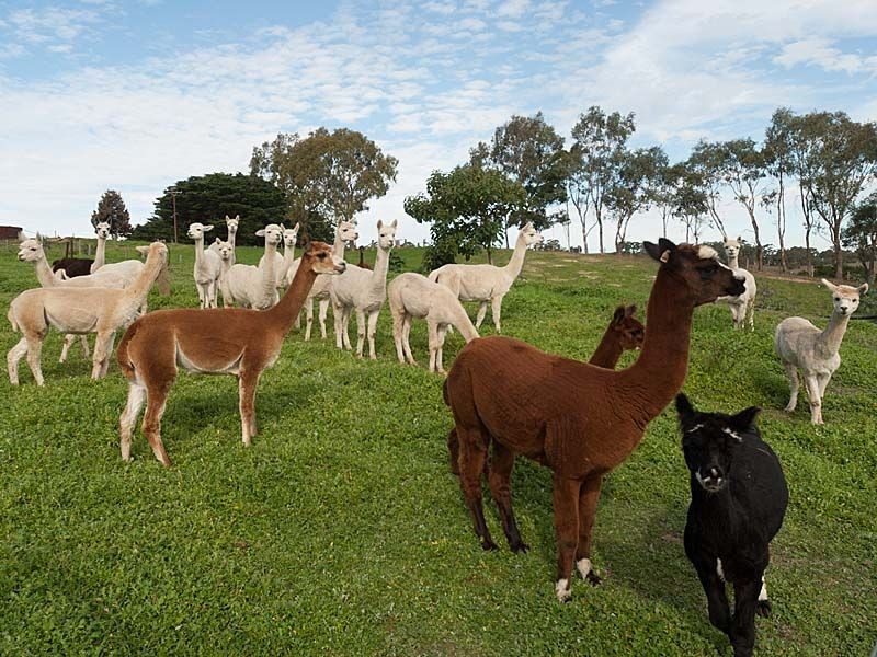 Lobethal SA 5241