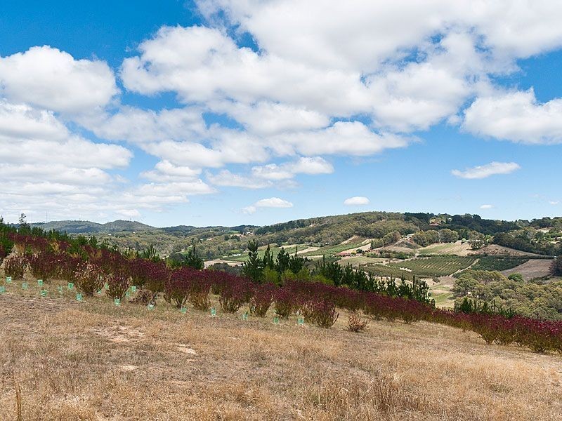 249 Range Road, Basket Range SA 5138