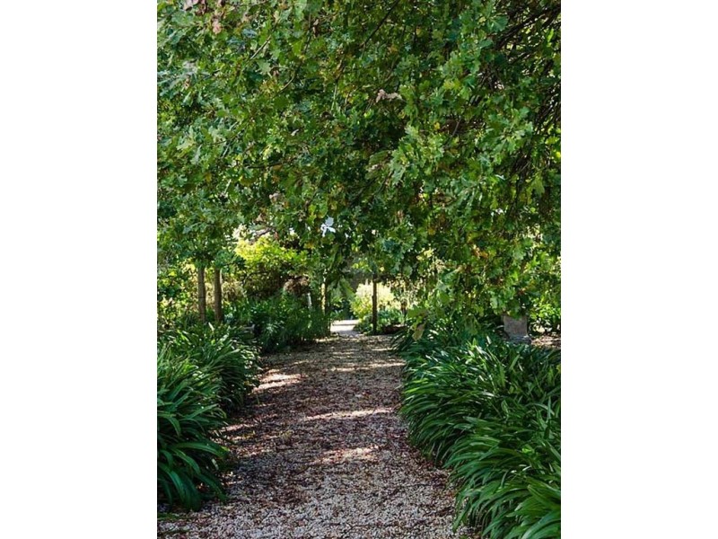 83 Native Avenue, Mount Barker SA 5251