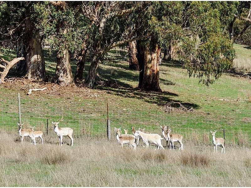 55 Matthew Road, Nairne SA 5252