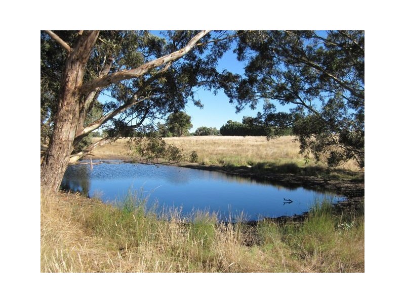 13 Narcoonah Road, Birdwood SA 5234