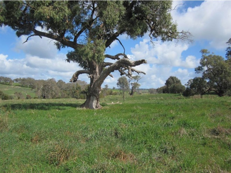 13 Narcoonah Road, Birdwood SA 5234