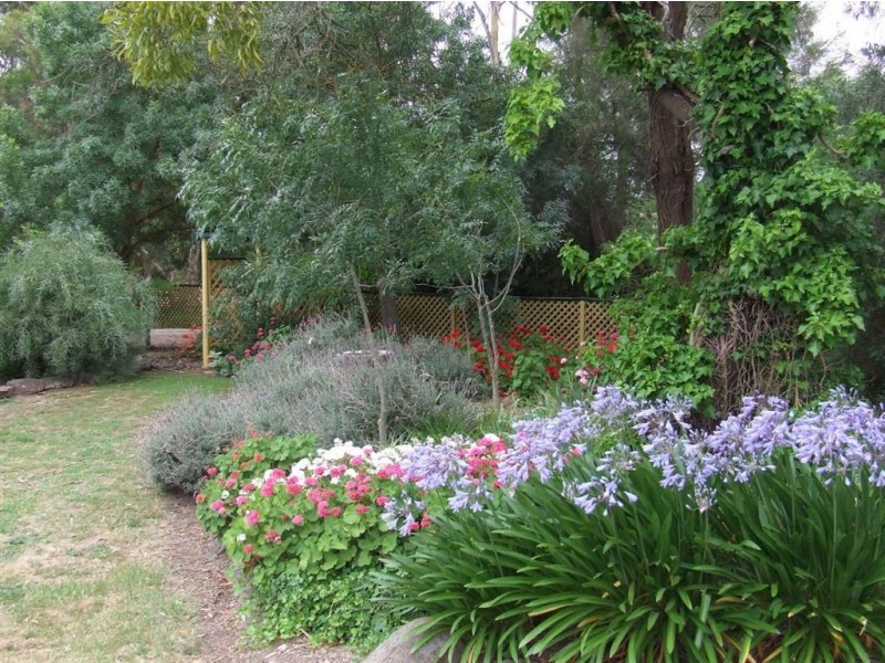 13 Narcoonah Road, Birdwood SA 5234