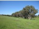 Lot 105 R Hicks Road, Mount Torrens SA 5244