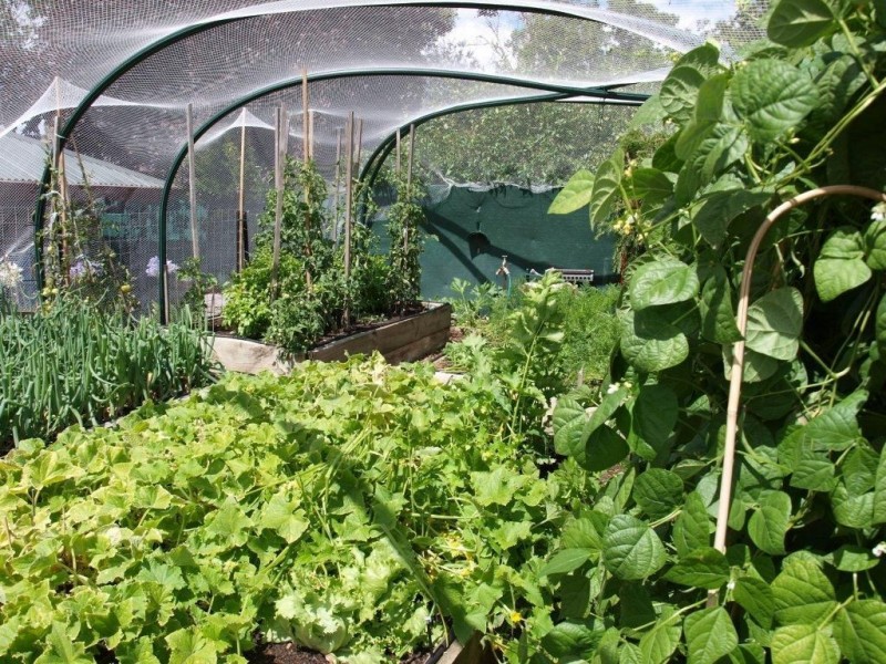 32B Olivedale Street, Birdwood SA 5234