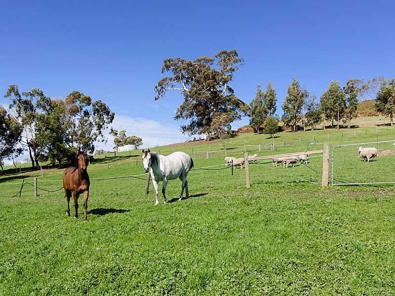 708 Torrens Valley Road, Gumeracha SA 5233