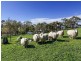 708 Torrens Valley Road, Gumeracha SA 5233