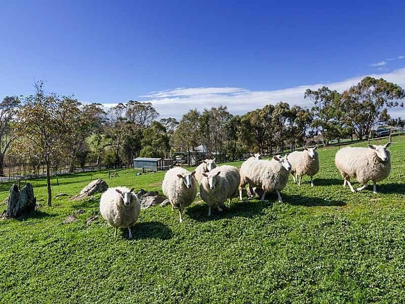 708 Torrens Valley Road, Gumeracha SA 5233